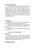 Referāts 'Sienas', 41.