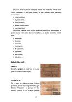 Referāts 'Sienas', 42.