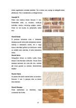 Referāts 'Sienas', 43.