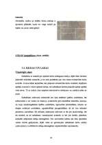 Referāts 'Sienas', 44.