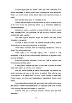 Referāts 'Sienas', 59.