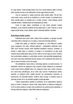 Referāts 'Sienas', 62.