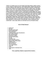 Biznesa plāns 'Kūrorta viesnīca "Sunset"', 5.