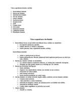 Biznesa plāns 'Kūrorta viesnīca "Sunset"', 6.