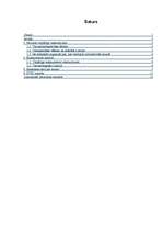 Referāts 'Vairumtirdzniecības apraksts', 1.