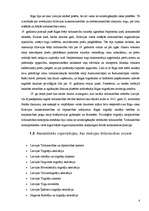 Referāts 'Vairumtirdzniecības apraksts', 4.