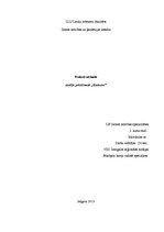 Prakses atskaite 'Kadastrs', 1.