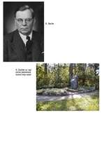 Referāts 'Kārlis Skalbe', 7.