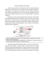 Eseja 'Gamasina adaptācijas dzīvei augsnē', 1.