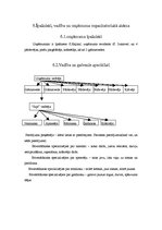 Biznesa plāns 'Kf "Jupiters"', 20.