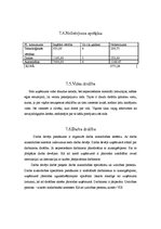 Biznesa plāns 'Kf "Jupiters"', 23.