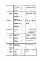 Biznesa plāns 'Kf "Jupiters"', 25.