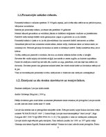 Referāts 'Sienu zīmējumi senatnē un mūsdienās', 6.