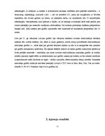 Referāts 'Sienu zīmējumi senatnē un mūsdienās', 11.