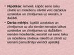 Referāts 'Sienu zīmējumi senatnē un mūsdienās', 24.