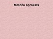 Referāts 'Sienu zīmējumi senatnē un mūsdienās', 26.