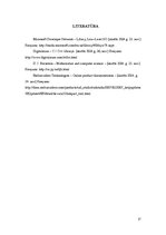 Referāts 'Zema līmeņa ievades/izvades funkcijas', 17.