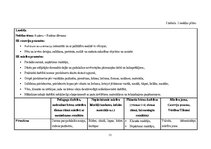 Prakses atskaite 'Mūzikas aktīvās klausīšanās ietekme uz  5-6 gadīgu bērnu emocionālo attīstību', 13.