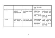 Prakses atskaite 'Mūzikas aktīvās klausīšanās ietekme uz  5-6 gadīgu bērnu emocionālo attīstību', 15.