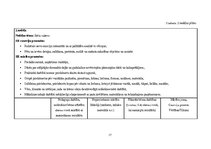 Prakses atskaite 'Mūzikas aktīvās klausīšanās ietekme uz  5-6 gadīgu bērnu emocionālo attīstību', 17.