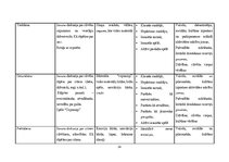 Prakses atskaite 'Mūzikas aktīvās klausīšanās ietekme uz  5-6 gadīgu bērnu emocionālo attīstību', 24.
