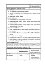 Prakses atskaite 'Mūzikas aktīvās klausīšanās ietekme uz  5-6 gadīgu bērnu emocionālo attīstību', 33.