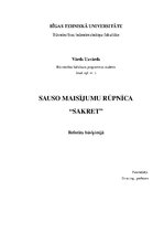 Referāts 'Sauso maisījumu rūpnīca "Sakret"', 1.