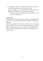 Referāts 'Sauso maisījumu rūpnīca "Sakret"', 6.