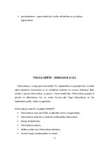 Referāts 'Sauso maisījumu rūpnīca "Sakret"', 13.