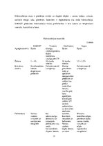 Referāts 'Sauso maisījumu rūpnīca "Sakret"', 15.