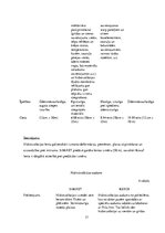 Referāts 'Sauso maisījumu rūpnīca "Sakret"', 17.
