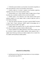 Referāts 'Sauso maisījumu rūpnīca "Sakret"', 19.