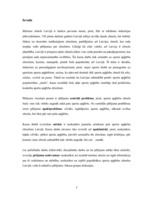 Referāts 'Jauniešu attieksme pret sporta apģērbu zīmoliem Latvijā', 3.