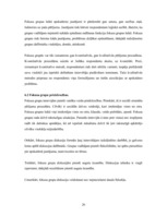 Referāts 'Jauniešu attieksme pret sporta apģērbu zīmoliem Latvijā', 26.