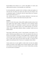 Referāts 'Jauniešu attieksme pret sporta apģērbu zīmoliem Latvijā', 32.