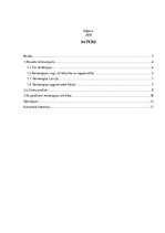 Referāts 'Reitterapija', 2.