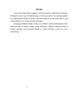 Referāts 'Reitterapija', 3.