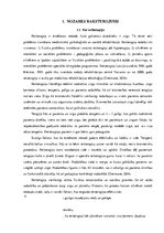 Referāts 'Reitterapija', 4.