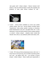 Referāts 'Krievijas un Lietuvas "Piena kara" atspoguļojums portālos delfi.lv un ria.ru', 9.