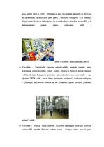 Referāts 'Krievijas un Lietuvas "Piena kara" atspoguļojums portālos delfi.lv un ria.ru', 13.