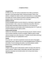 Referāts 'AS "Latvijas Gāze"', 6.