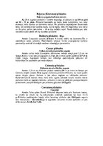 Konspekts 'Vidzemes pilskalni', 6.