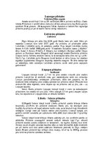 Konspekts 'Vidzemes pilskalni', 10.