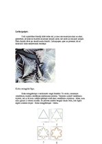 Konspekts 'Fraktālis', 3.