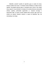 Referāts 'Jaunatnes socioloģija I.Trapencieres un I.Ostrovskas skatījumā', 4.