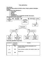 Konspekts 'Veļas gludināšana', 1.