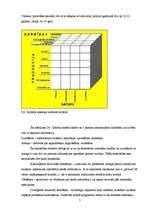 Konspekts 'Intelekts', 7.