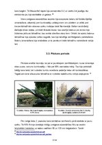 Referāts 'Pretgaisa aizsardzības attīstība no pamatiem līdz mūsdienām', 27.