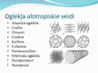 Prezentācija 'Oglekļa alotropiskie veidi', 2.