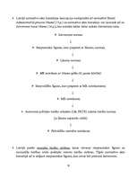 Konspekts 'Tiesību normas', 10.